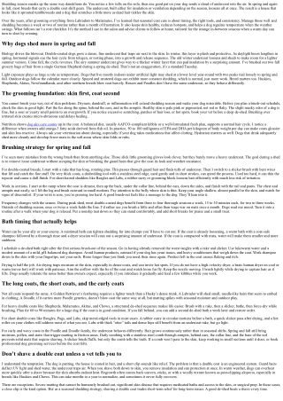 Seasonal Dog Grooming: Managing Shedding in Spring and Fall