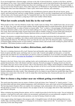 Houston Puppy Training Guide: Find the Best Dog Trainer Near Me for Fast Obedien