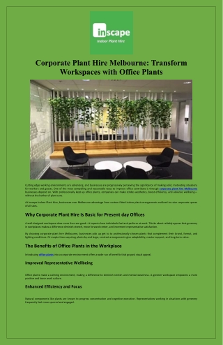 Corporate Plant Hire Melbourne Transform Workspaces with Office Plants
