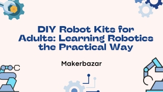 DIY Robot Kits for Adults Learning Robotics the Practical Way