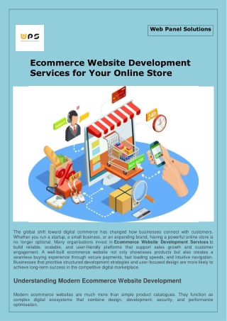 Ecommerce Website Development Services  - Web Panel Solutions