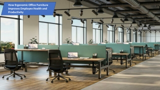 How Ergonomic Office Furniture Boosts Health & Productivity