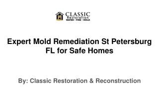 Mold Remediation St Petersburg FL