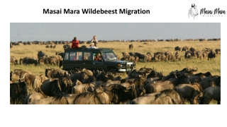 Masai mara wildebeest migration