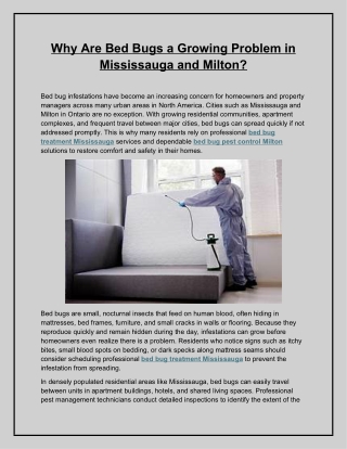 Why Are Bed Bugs a Growing Problem in Mississauga and Milton