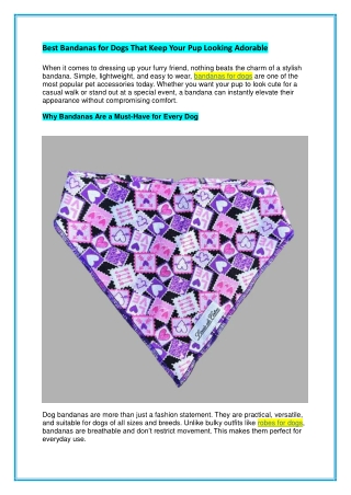 Best Bandanas for Dogs That Keep Your Pup Looking Adorable