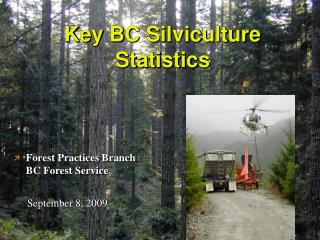 Key BC Silviculture Statistics