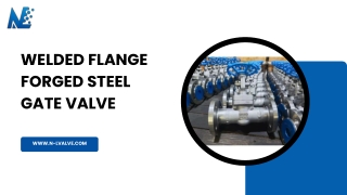 Welded Flange Forged Steel Gate Valve