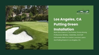 Synthetic Lawn Installation Cost Los Angeles