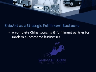 ShipAnt as a Strategic Fulfillment Backbone