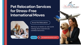 Safe and Professional International Pet Shipping Services