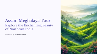 Assam Meghalaya Tour Package – Explore the Natural Beauty of Northeast India