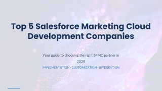 Top 5 Salesforce Marketing Cloud Development Companies