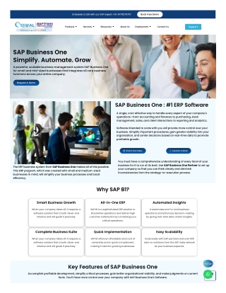 How SAP Business One integrates all departments in your firm in 2026