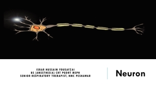 Neuron