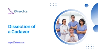 Dissection of a Cadaver - idissect.ca