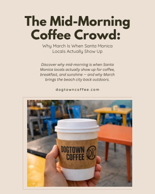The Mid-Morning Coffee Crowd Why March Is When Santa Monica Locals Actually Show Up