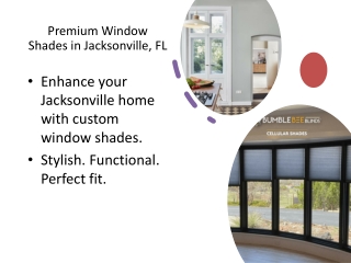 Custom Window Shades in Jacksonville, FL  Professional Installation