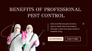 Benefits of Professional Pest Control Services for Healthy Living