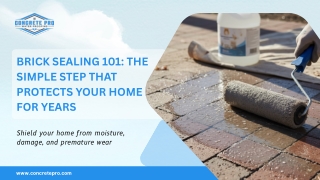 Brick Sealing 101: The Simple Step That Protects Your Home for Years