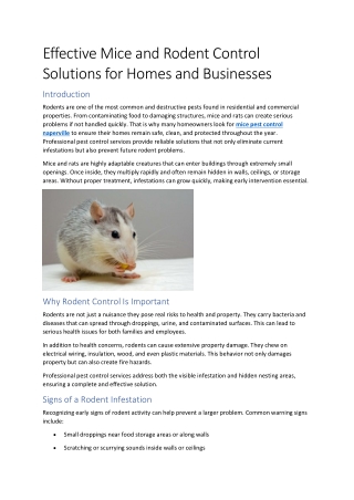 Effective Mice and Rodent Control Solutions for Homes and Businesses