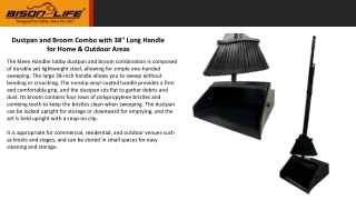 Dustpan and Broom Combo with Long Handle for Home