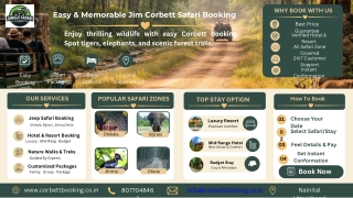 Professional Guide to Jim Corbett Safari Booking Experience