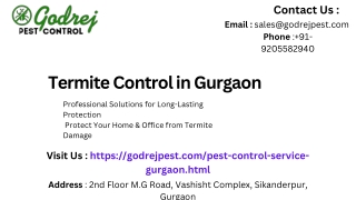 Termite Control in Gurgaon – Expert Pest Solutions