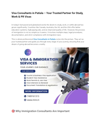 Visa Consultants in Patiala – Your Trusted Partner for Study, Work & PR Visas