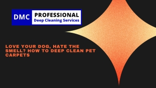 Love Your Dog, Hate the Smell How to Deep Clean Pet Carpets