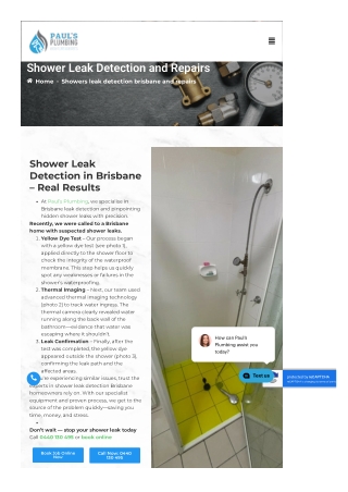 paulsplumbing-com-au-shower-leak-detection-and-repairs-...