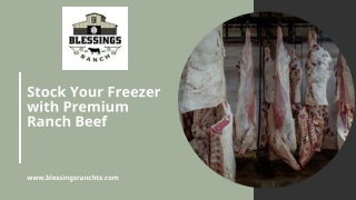 Stock Your Freezer with Premium Meat in Bulk