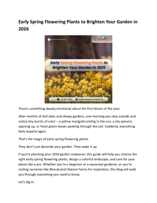 Early Spring Flowering Plants to Brighten Your Garden in 2026