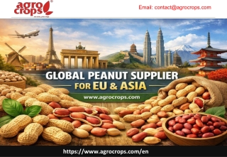 Global peanut supplier for EU and Asia