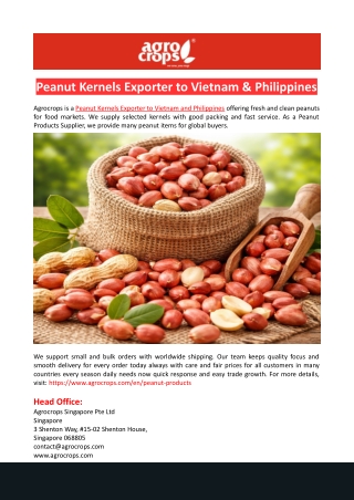 Peanut Kernels Exporter to Vietnam & Philippines