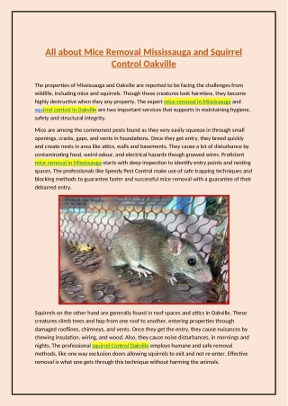 All about Mice Removal Mississauga and Squirrel Control Oakville