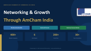 AmCham_Networking_Growth_2026 (1)