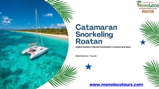Catamaran Snorkeling Roatan