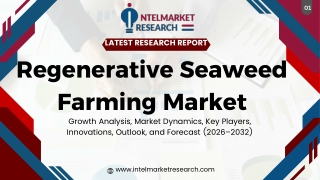 Seaweed PPT