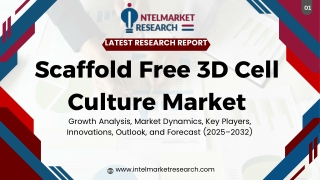 Scaffold PPT