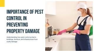 Importance of Pest Control in Preventing Property Damage