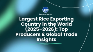 Biggest Rice Exporter in the World 2025 – Top Countries
