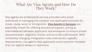 What Are Visa Agents and How Do They Work