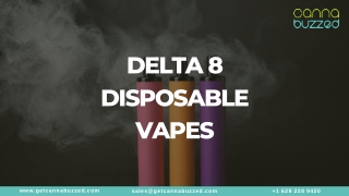 Complete Guide to Delta 8 Disposable Vapes for Easy Use