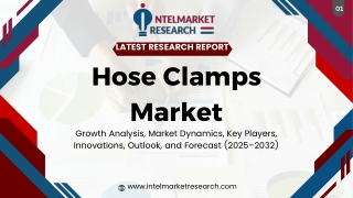 Hose Clamps PPT
