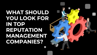 What Should You Look for in Top Reputation Management Companies
