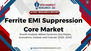 Ferrite EMI PPT
