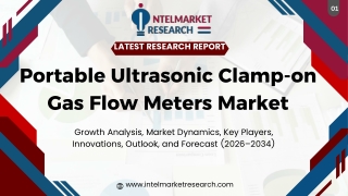 Portable Ultrasonic PPT
