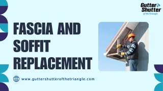 Fascia and Soffit Replacement