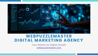 Webpuzzlemaster Digital Marketing Overview